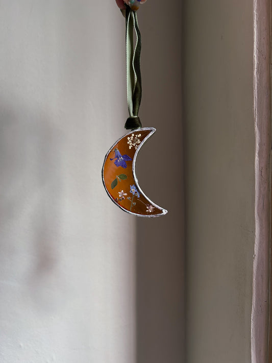 Pressed Flower Moon Glass Frame