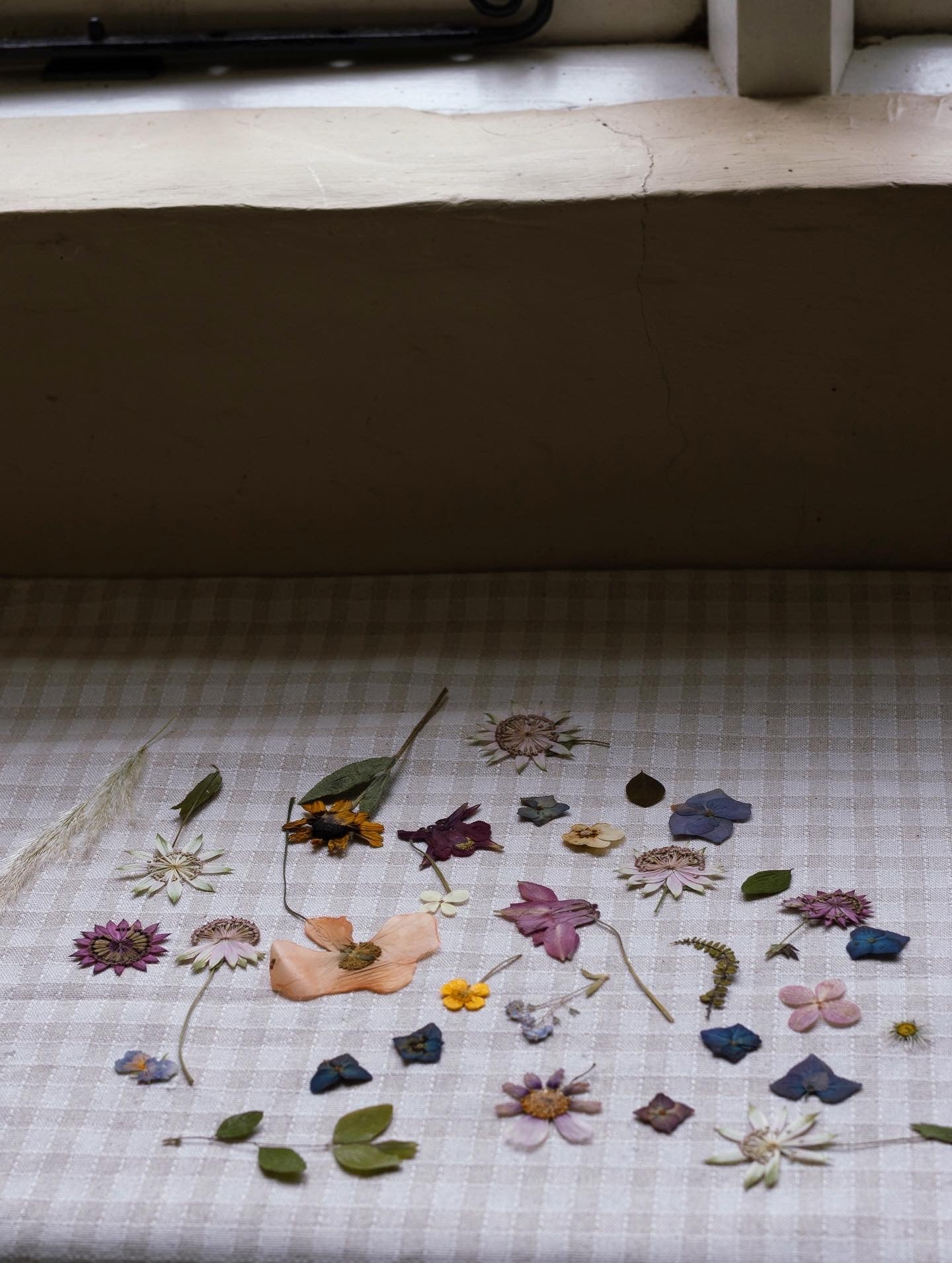 October Flower Framing Stained Glass Workshop at Rebecca Furze Shop - Totnes
