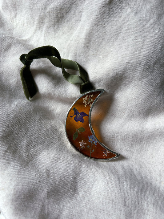 Pressed Flower Moon Glass Frame