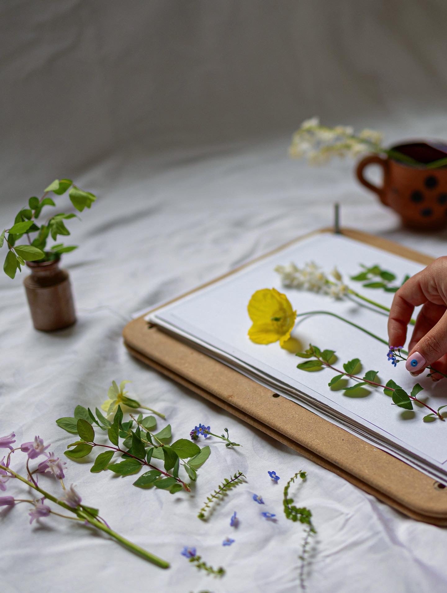 June Flower Framing Stained Glass Workshop at Rebecca Furze Shop - Totnes