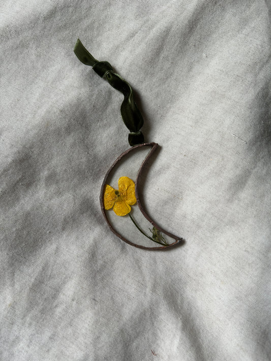 Buttercup Flower Moon Glass Frame