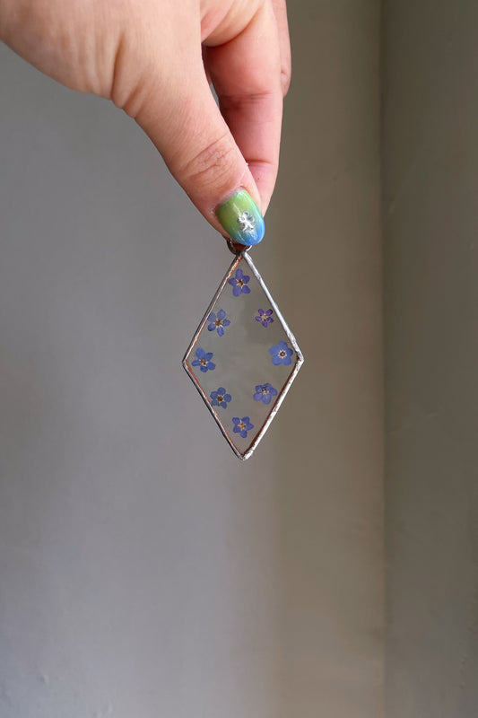 Forget me Not Pressed Flower Mini Botanical Glass Frame