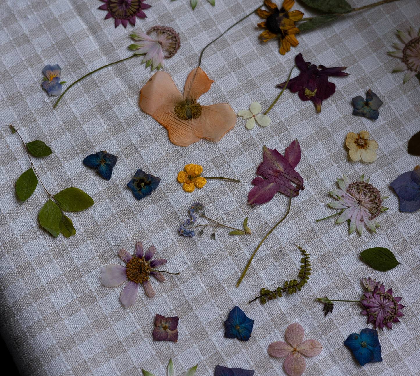 October Flower Framing Stained Glass Workshop at Rebecca Furze Shop - Totnes