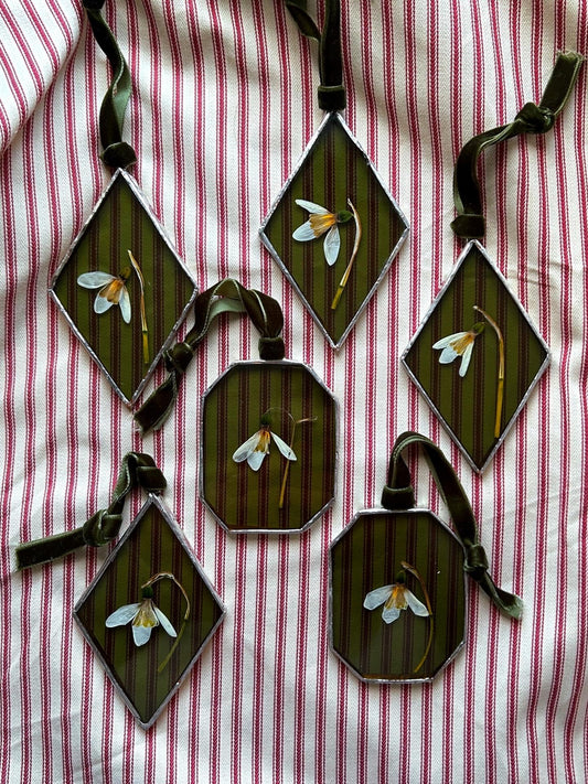 Silver Pressed Snowdrop Glass Frame