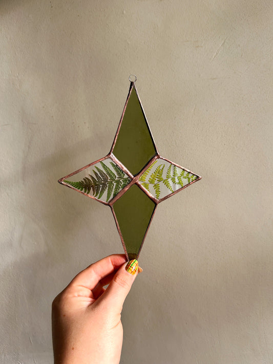 Winter Christmas Star with Pressed Ferns