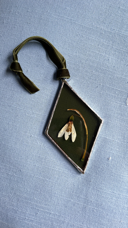 Silver Pressed Snowdrop Glass Frame