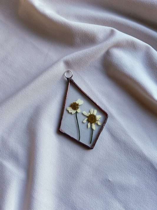 Pressed Chamomile Frame