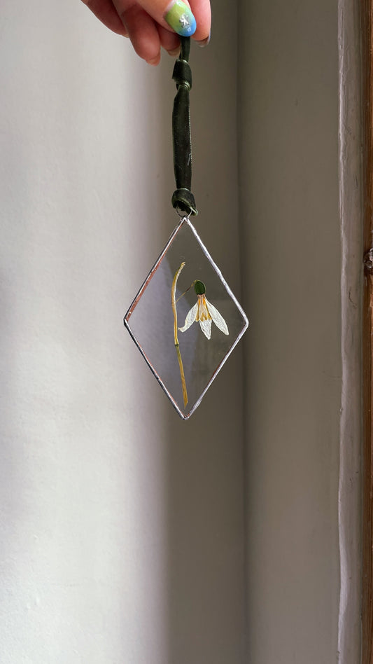 Snowdrop Pressed Flower Botanical Glass Silver Frame Wall Hanging