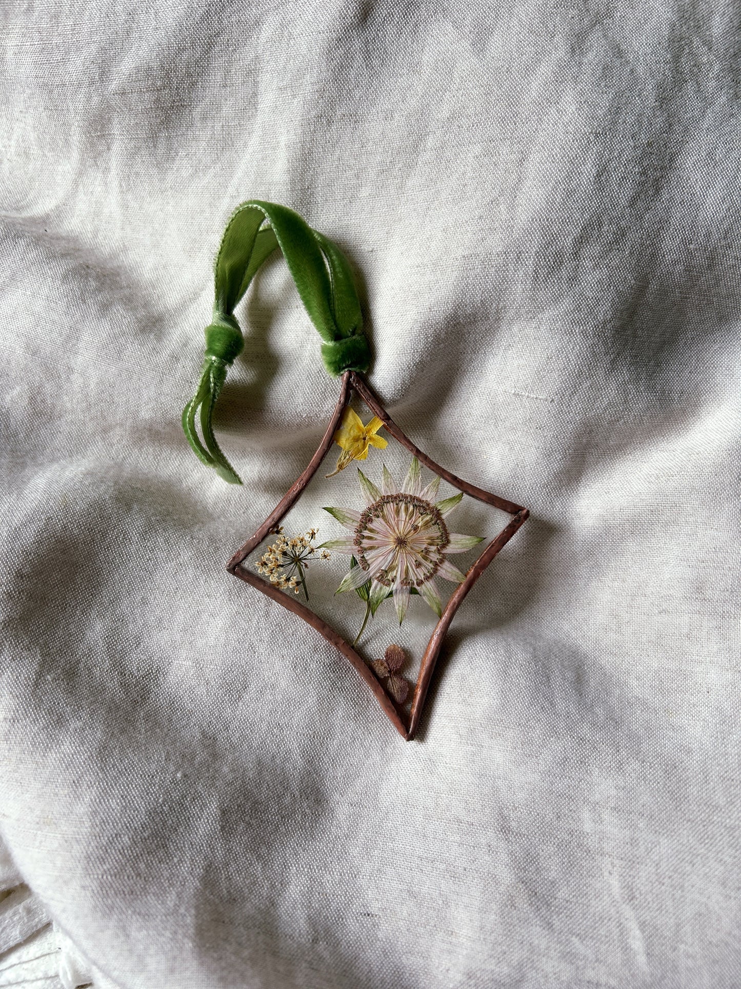 Pressed Flower Star Glass Frame