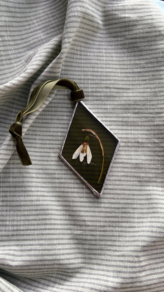 Silver Pressed Snowdrop Glass Frame