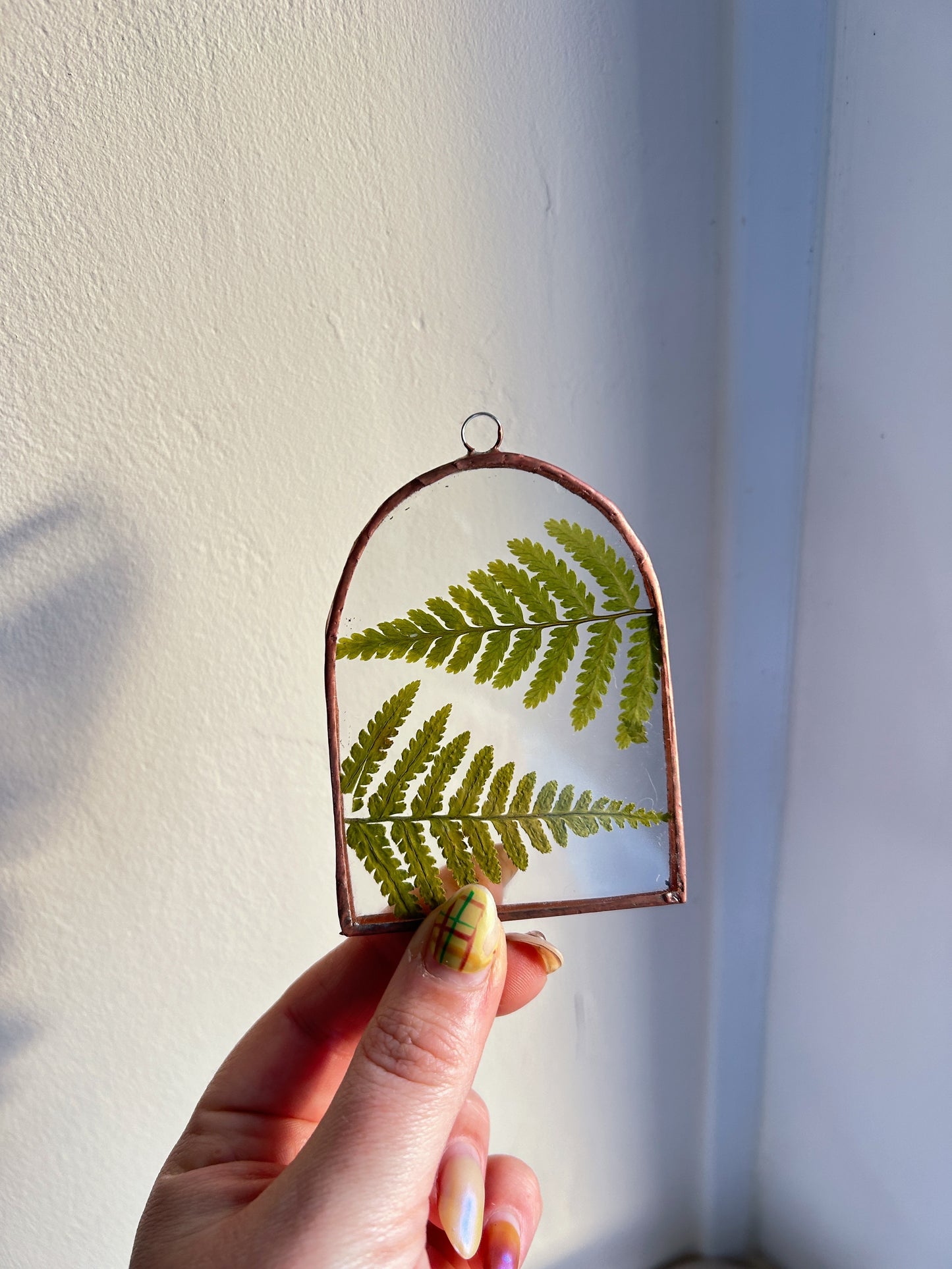 Pressed Fern Arch Glass Frame
